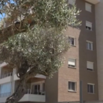Green e inclusivo, ecco Urban District nel quartiere più sostenibile di Roma