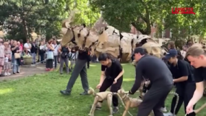 Londra, animali di cartone a grandezza naturale invadono il West End: il video della performance
