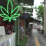 La Thailandia vieta la vendita di cannabis senza prescrizione medica: negozianti preoccupati