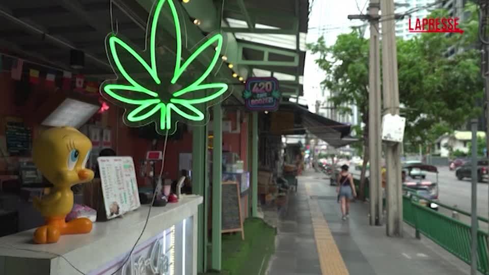 La Thailandia vieta la vendita di cannabis senza prescrizione medica: negozianti preoccupati La Thailandia vieta la vendita di cannabis senza prescrizione medica: negozianti preoccupati
