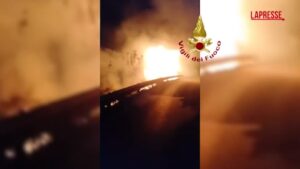 Campania, incendi vegetazione: oltre 160 interventi dei vigili del fuoco nelle ultime 24 ore