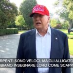 Alligator Alcatraz, Trump: “Gli dobbiamo insegnare come scappare dagli alligatori”