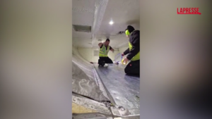 Australia, serpente a bordo: volo ritardato di due ore