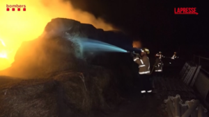 Caldo e roghi, in Spagna almeno due morti: la colonna di fumo e cenere ha raggiunto i 14mila metri di altitudine