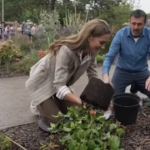 La principessa Kate pianta rose in un centro di cura per il cancro