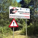 Romania, motociclista italiano ucciso da un orso