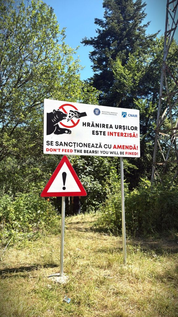 Romania, motociclista italiano ucciso da un orso