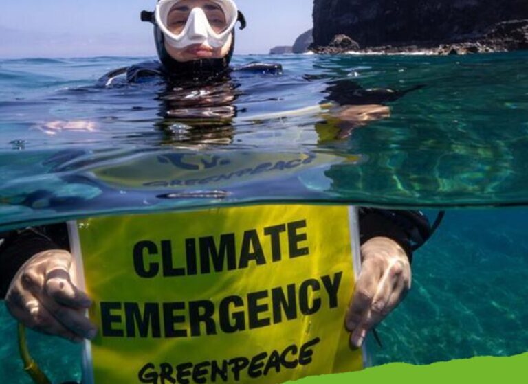 Mare caldo, Greenpeace: Mediterraneo nel 2024 più caldo di sempre