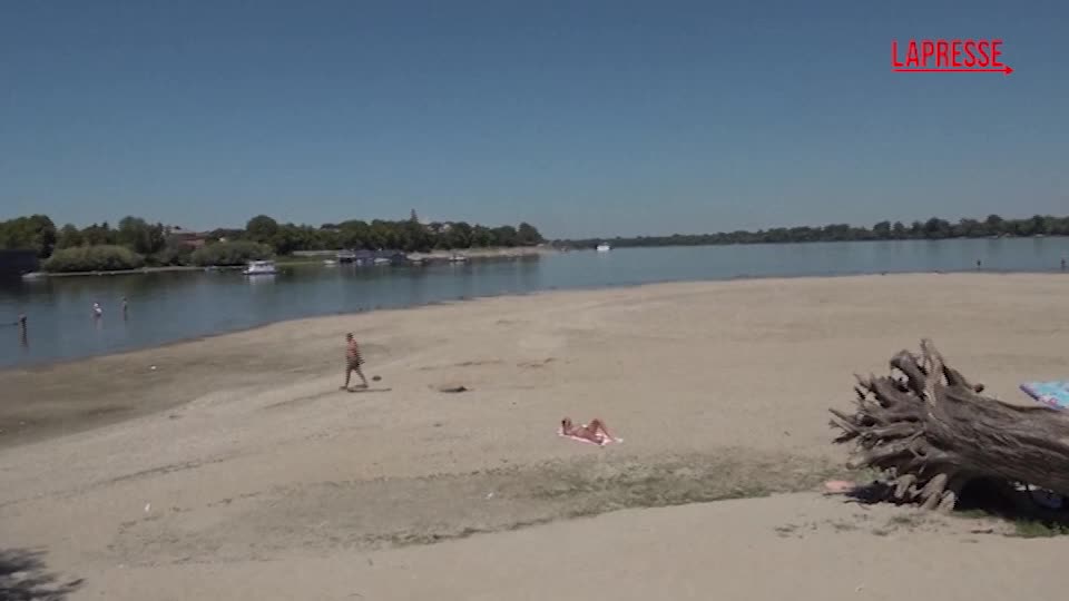 caldo a belgrado gli abitanti cercano refrigerio nel danubio