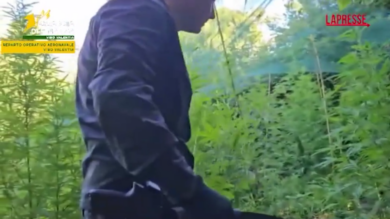 Vibo Valentia, maxi sequestro di marijuana da 5.5 tonnellate