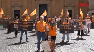 Circo, a Roma flash-mob LAV contro proroga uso animali: “Tradisce art. 9 della Costituzione”