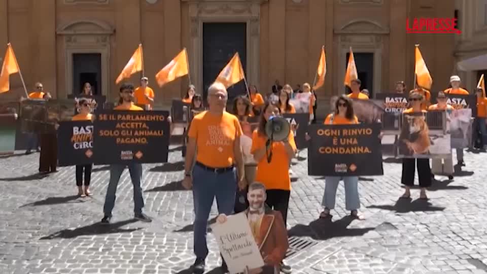 Circo, a Roma flash mob LAV contro proroga uso animali: “Tradisce art. 9 della Costituzione” Circo, a Roma flash mob LAV contro proroga uso animali: “Tradisce art. 9 della Costituzione”