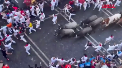 Pamplona, sesta corsa dei tori a San Fermin: 5 feriti