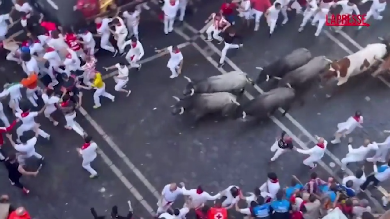 Pamplona, sesta corsa dei tori a San Fermin: 5 feriti Pamplona, sesta corsa dei tori a San Fermin: 5 feriti