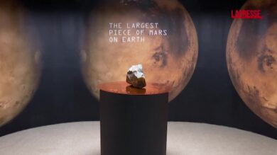 Aste: in vendita da Sotheby's la più grande roccia marziana e uno scheletro di ceratosaurus