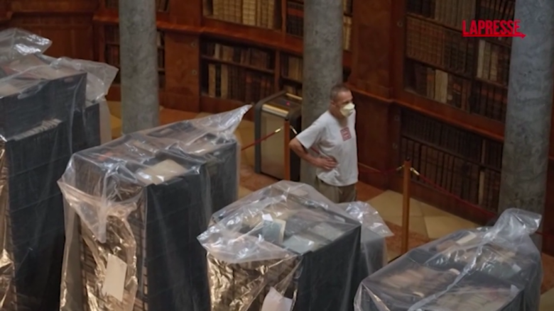 Ungheria, 100mila libri secolari rovinati dallo "scarafaggio delle farmacie"