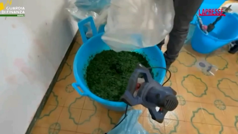 Napoli, scoperto laboratorio clandestino per produrre tabacco
