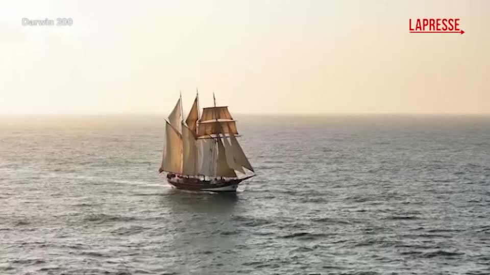 Galapagos, un veliero del 1918 sulle tracce della Beagle di Darwin Galapagos, un veliero del 1918 sulle tracce della Beagle di Darwin