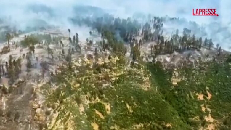 Incendio nel Grand Canyon, il video