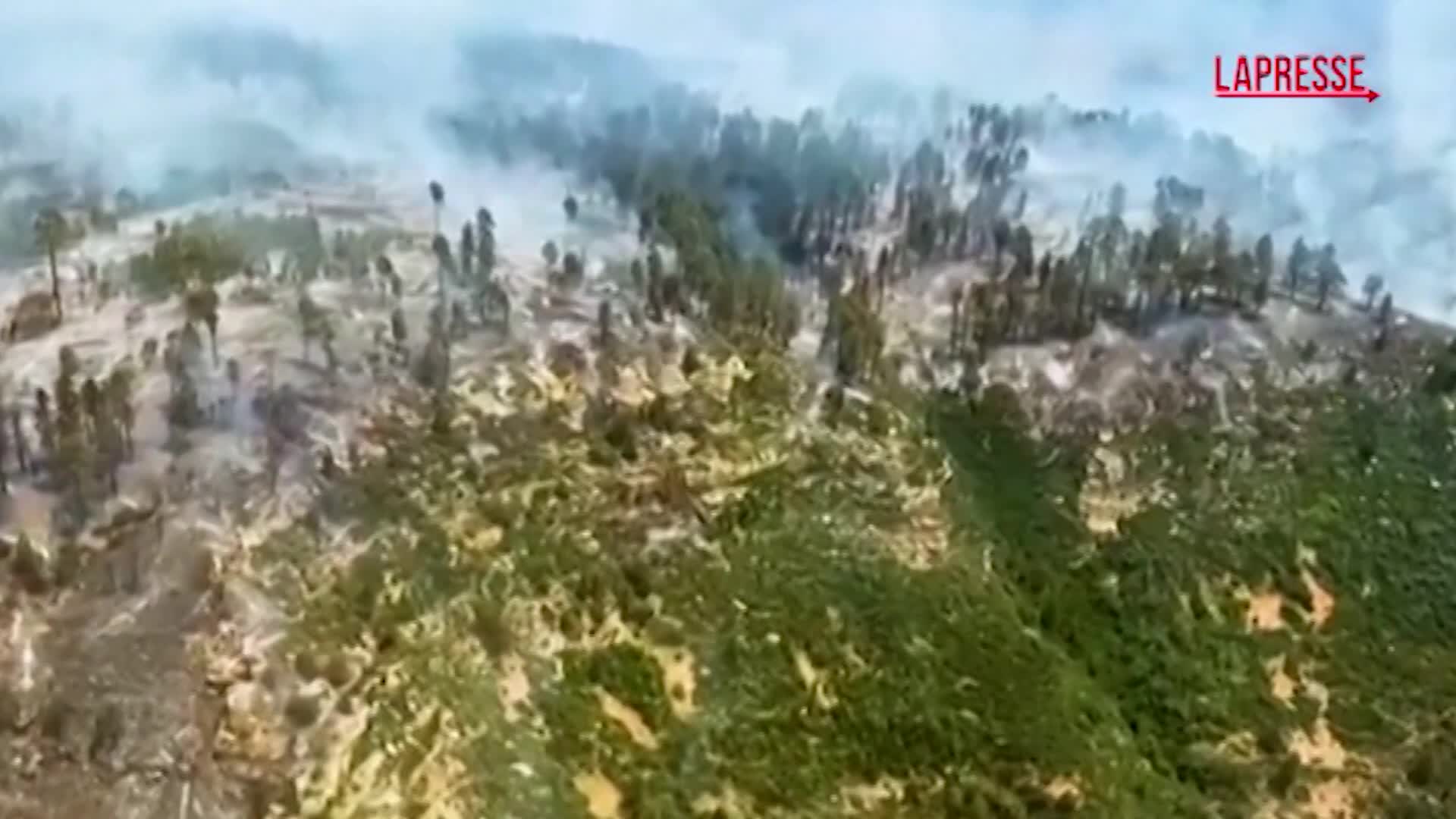 Incendio nel Grand Canyon, il video Incendio nel Grand Canyon, il video