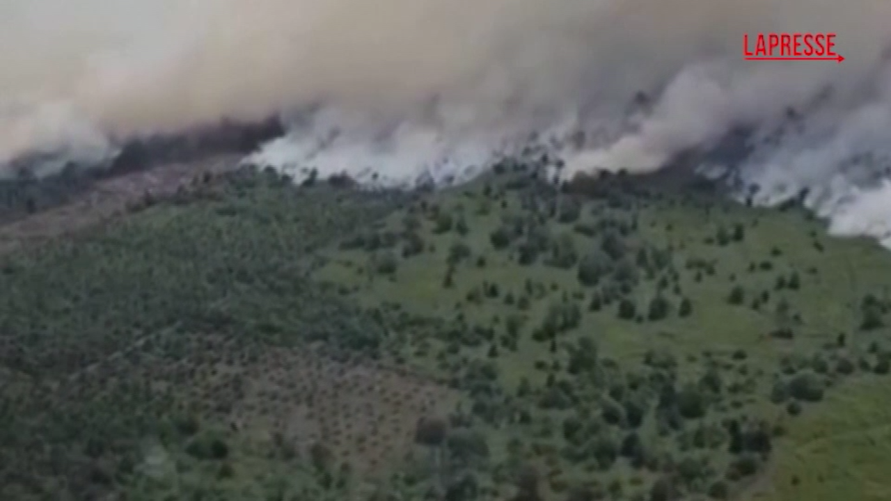 Indonesia, gli incendi boschivi nell Indonesia, gli incendi boschivi nell