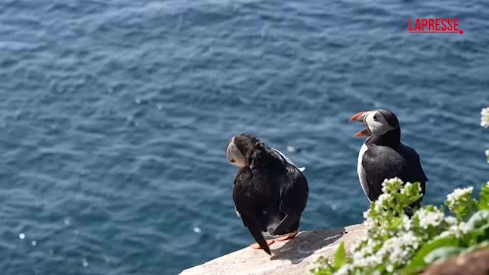 Norvegia, le immagini dell