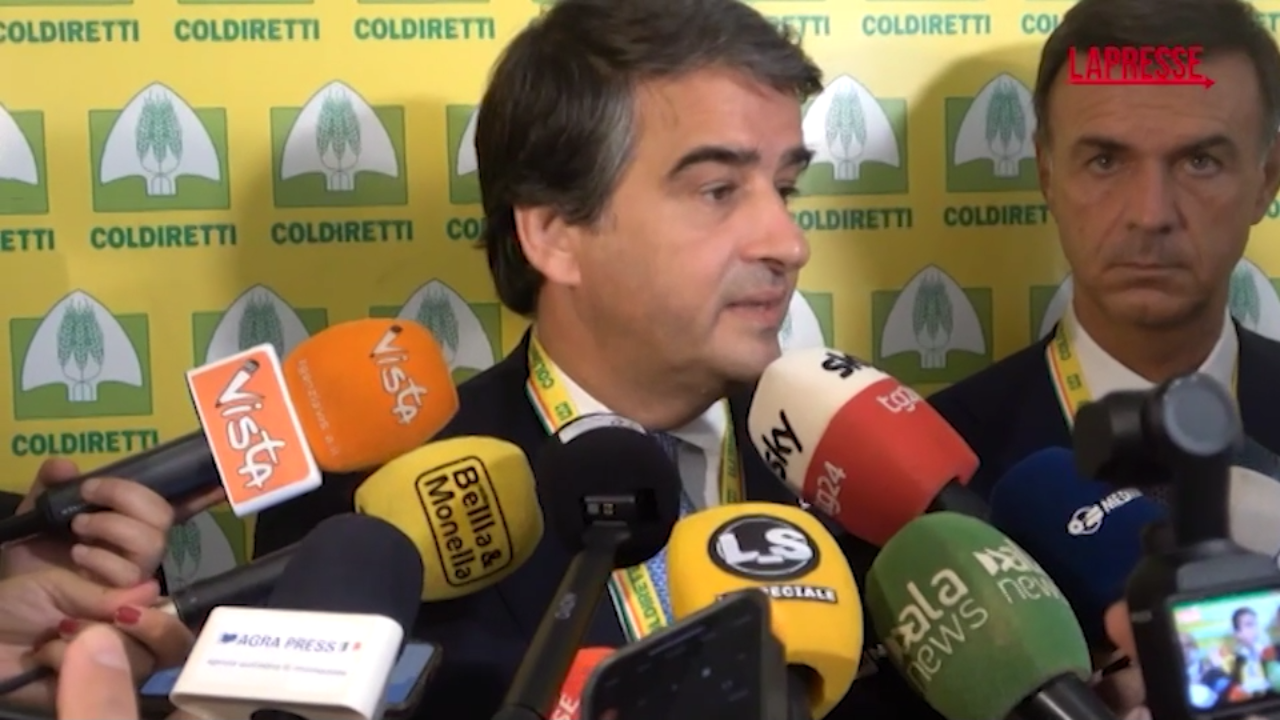 Dazi, Fitto: "Sono ottimista, intesa Usa Ue è interesse reciproco" Dazi, Fitto: "Sono ottimista, intesa Usa Ue è interesse reciproco"