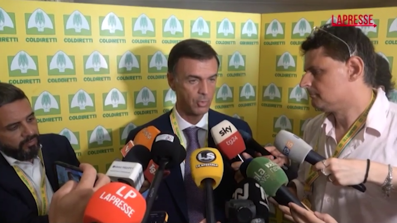 Dazi, Prandini (Coldiretti): "Impatto rilevante: il rischio è di perdere 2,3 miliardi" Dazi, Prandini (Coldiretti): "Impatto rilevante: il rischio è di perdere 2,3 miliardi"