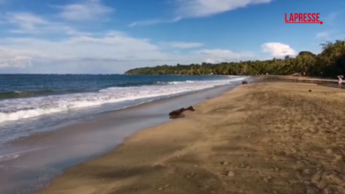 Addio a Theo de 'I Robinson', la spiaggia in Costa Rica dove è morto Malcolm-Jamal Warner