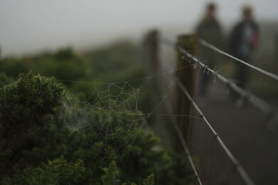 Irlanda del Nord, sparatoria: 2 morti