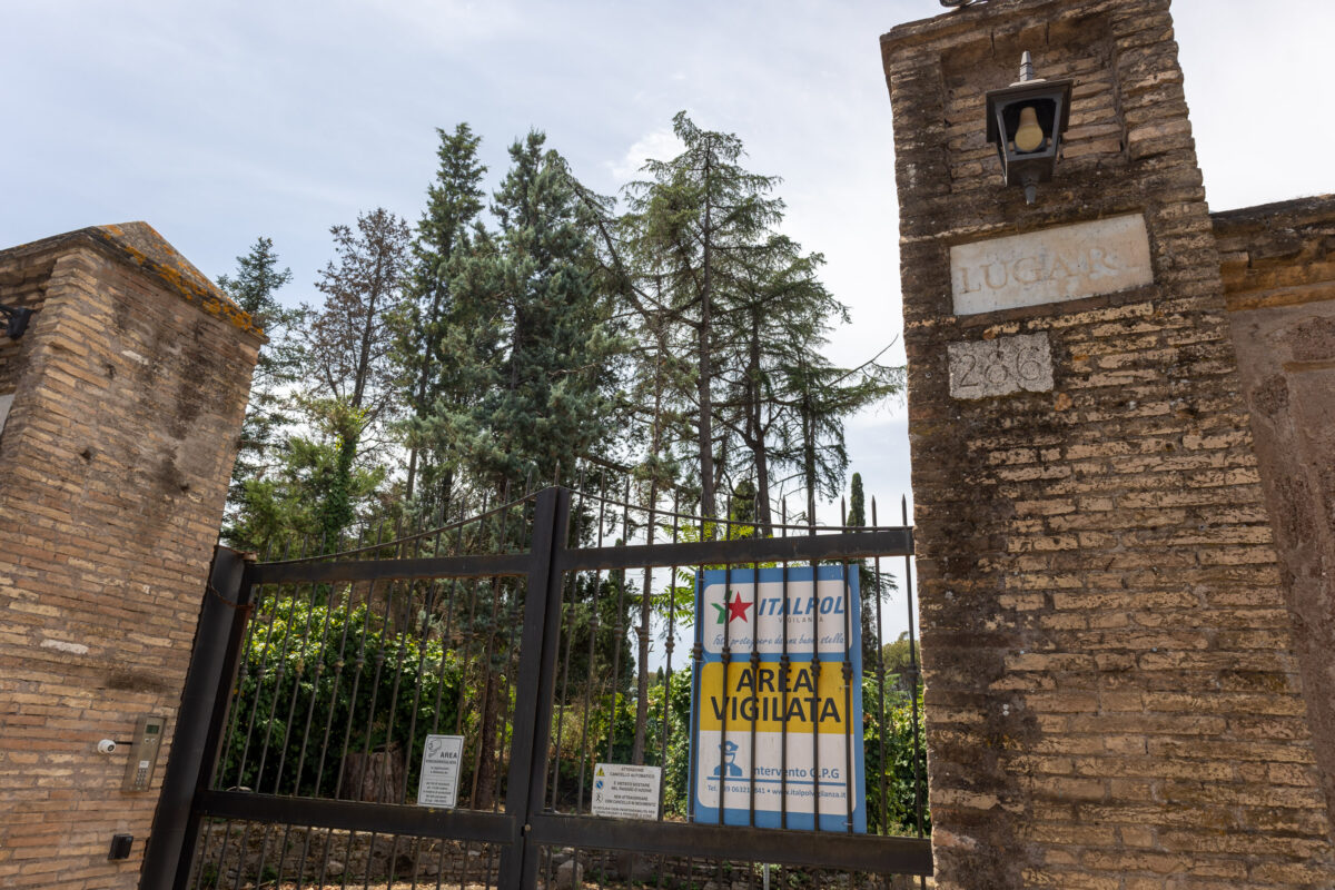Roma, furto nella casa di Domenico Modugno