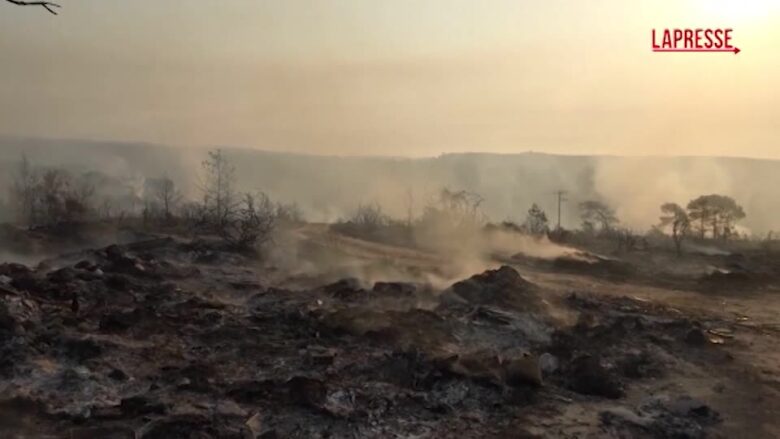 Cipro, due morti in vasto incendio: villaggi evacuati e case distrutte