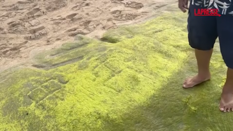 Hawaii, antiche incisioni rupestri sono riapparse su una spiaggia di Waianae