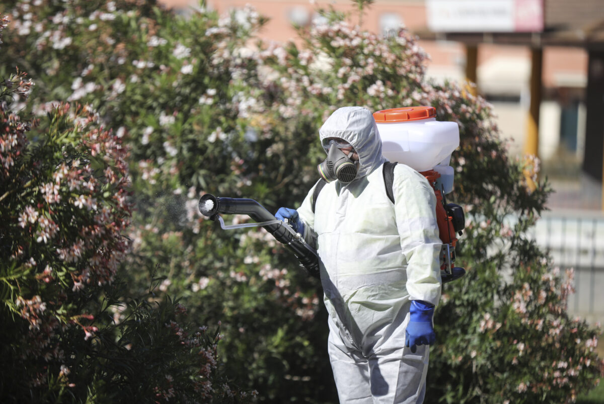 West Nile: 7 nuovi casi accertati nel Lazio West Nile: 7 nuovi casi accertati nel Lazio