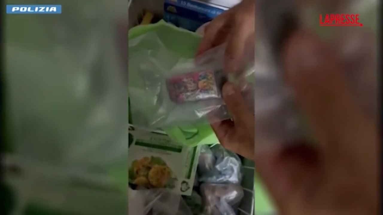 Catania, 9 chili di marijuana 