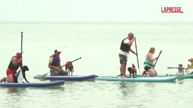 Regno Unito, la gara dei cani surfisti alla ricerca del Guinness dei primati