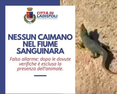 A Ladispoli né un coccodrillo né un caimano, svelata la fake news