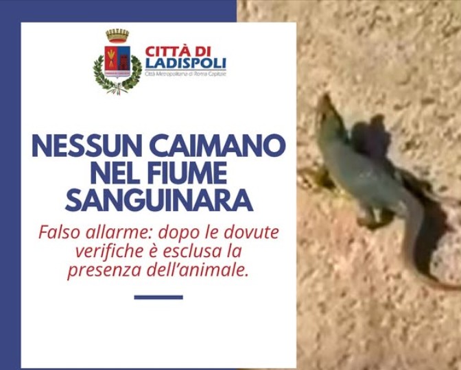 a ladispoli n233 un coccodrillo n233 un caimano svelata la fake news