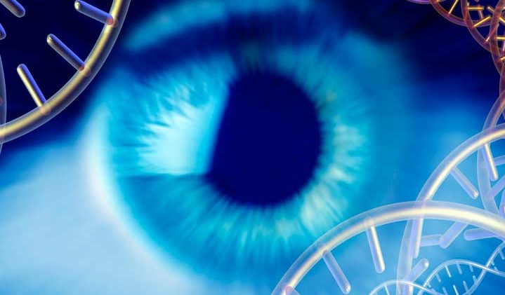 Recupera la vista con terapia genica: è il primo caso al mondo Recupera la vista con terapia genica: è il primo caso al mondo