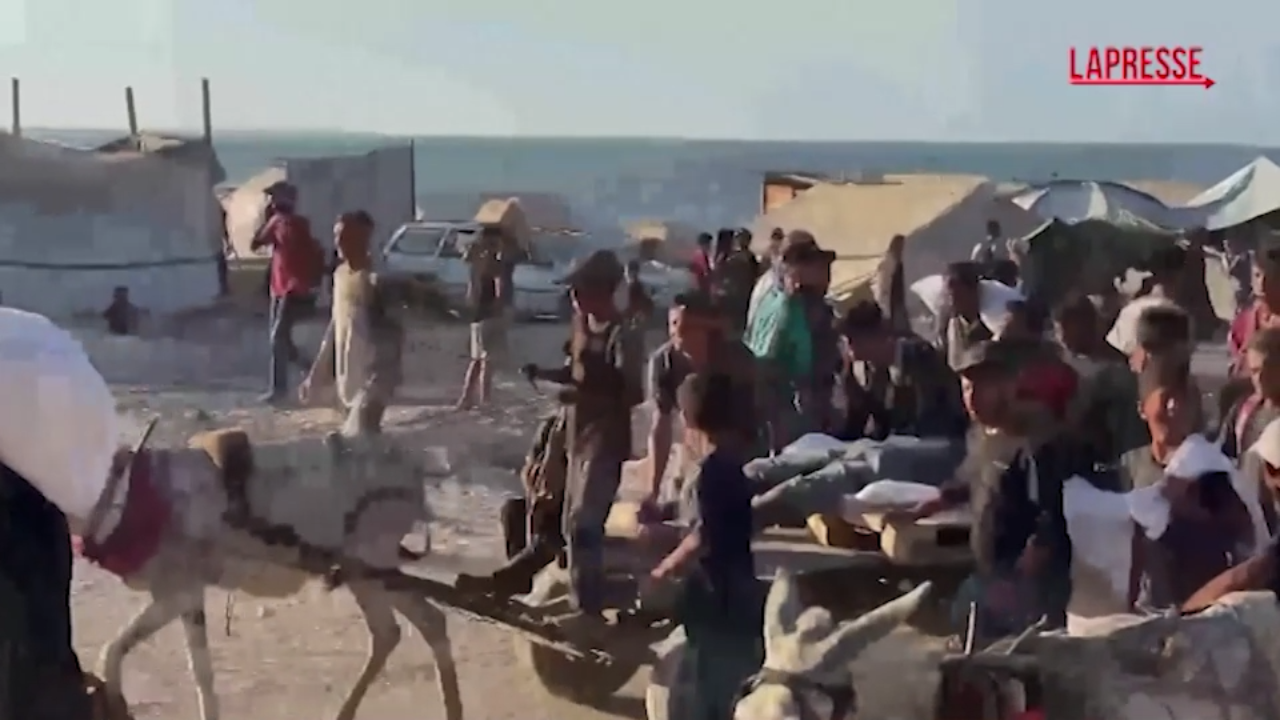 Gaza, arrivano i camion con gli aiuti e in molti restano feriti Gaza, arrivano i camion con gli aiuti e in molti restano feriti