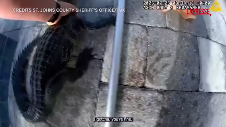 Florida, c'è un alligatore in piscina: il video dalla bodycam del vice sceriffo