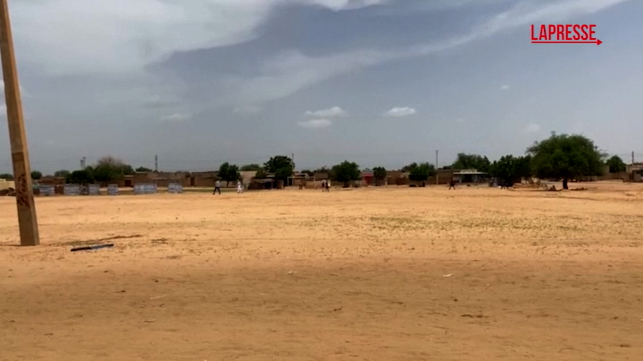 sudan migliaia di persone costrette a mangiare cibo per animali