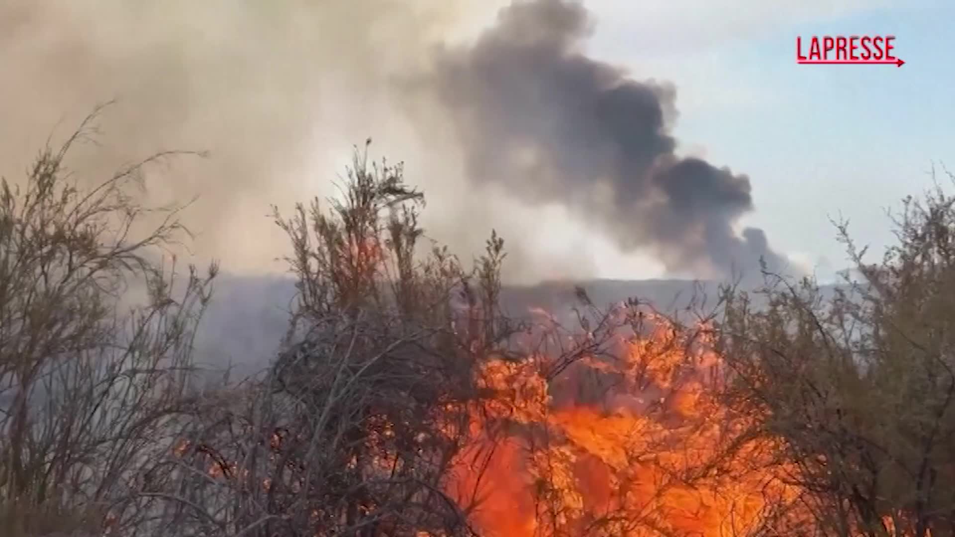 California, incendio fuori controllo: case minacciate dal fuoco California, incendio fuori controllo: case minacciate dal fuoco