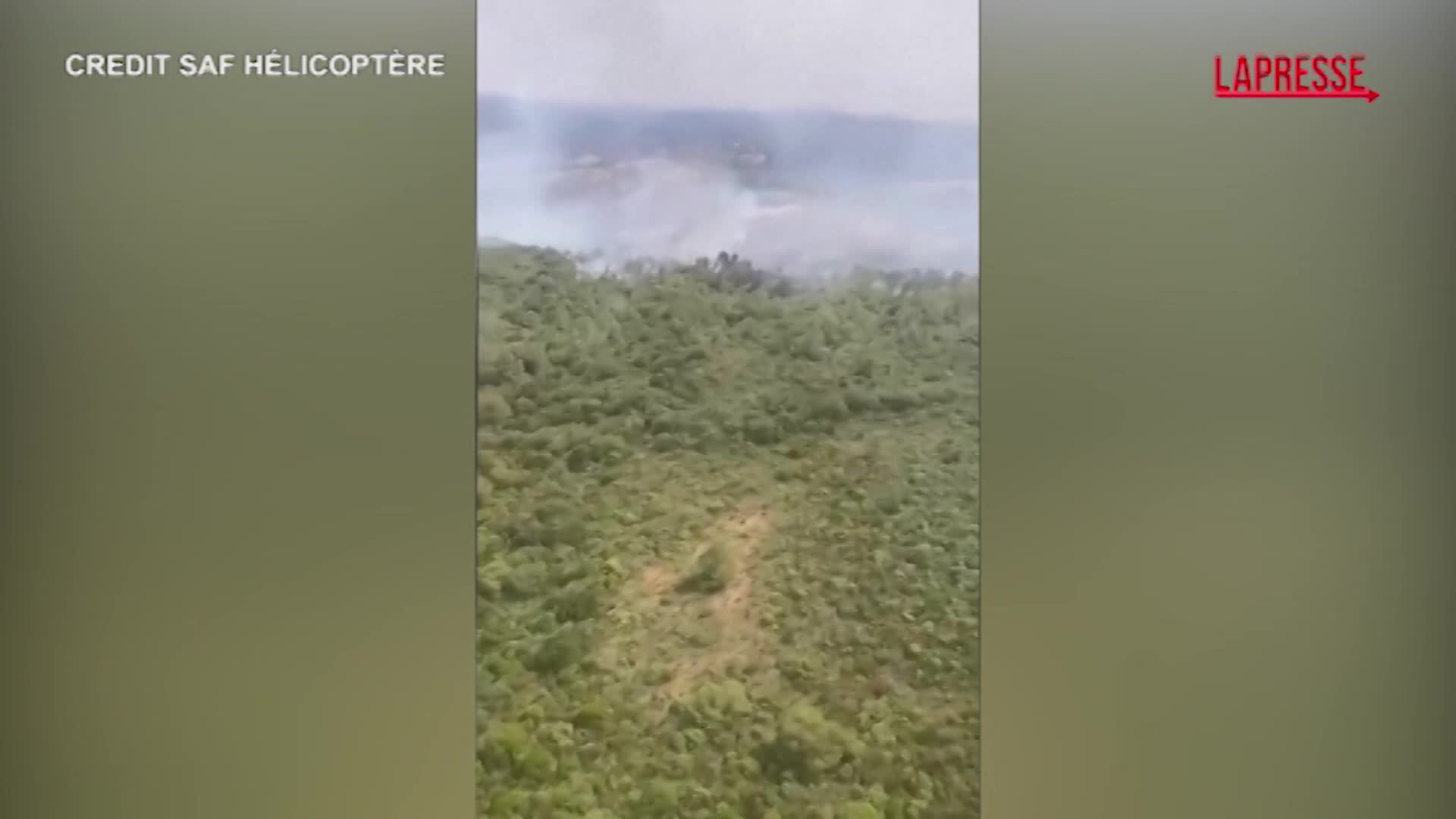 francia elicottero in azione per spegnere l incendio in una foresta le immagini