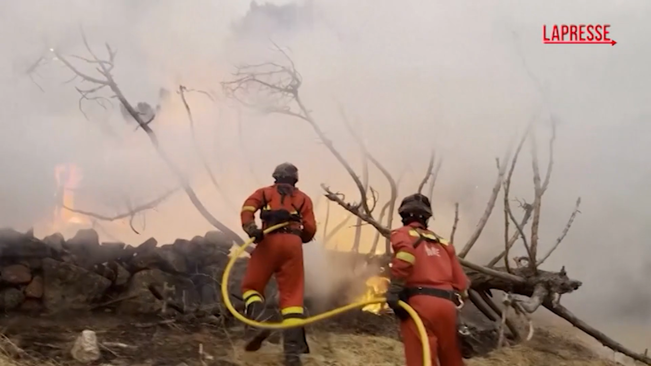 Spagna, incendi nella provincia di Avila: vigili del fuoco in azione Spagna, incendi nella provincia di Avila: vigili del fuoco in azione