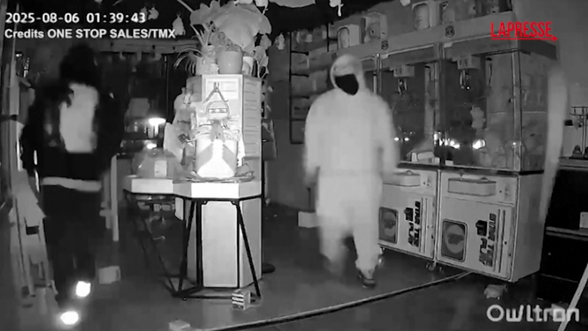 Los Angeles, rubati pupazzetti Labubu dal valore di 7mila dollari