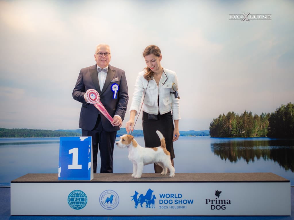 Max, da San Benedetto del Tronto a Helsinki per il titolo di “cane più bello del mondo”