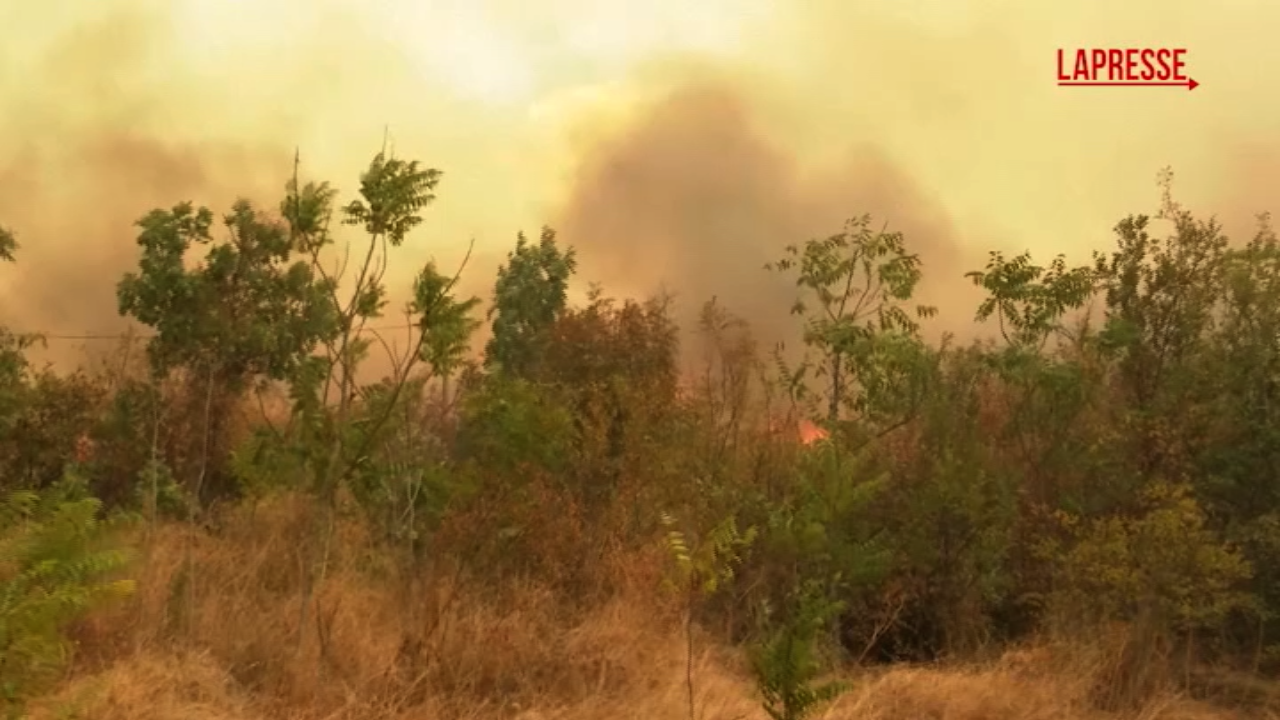 montenegro grave incendio vicino a podgorica