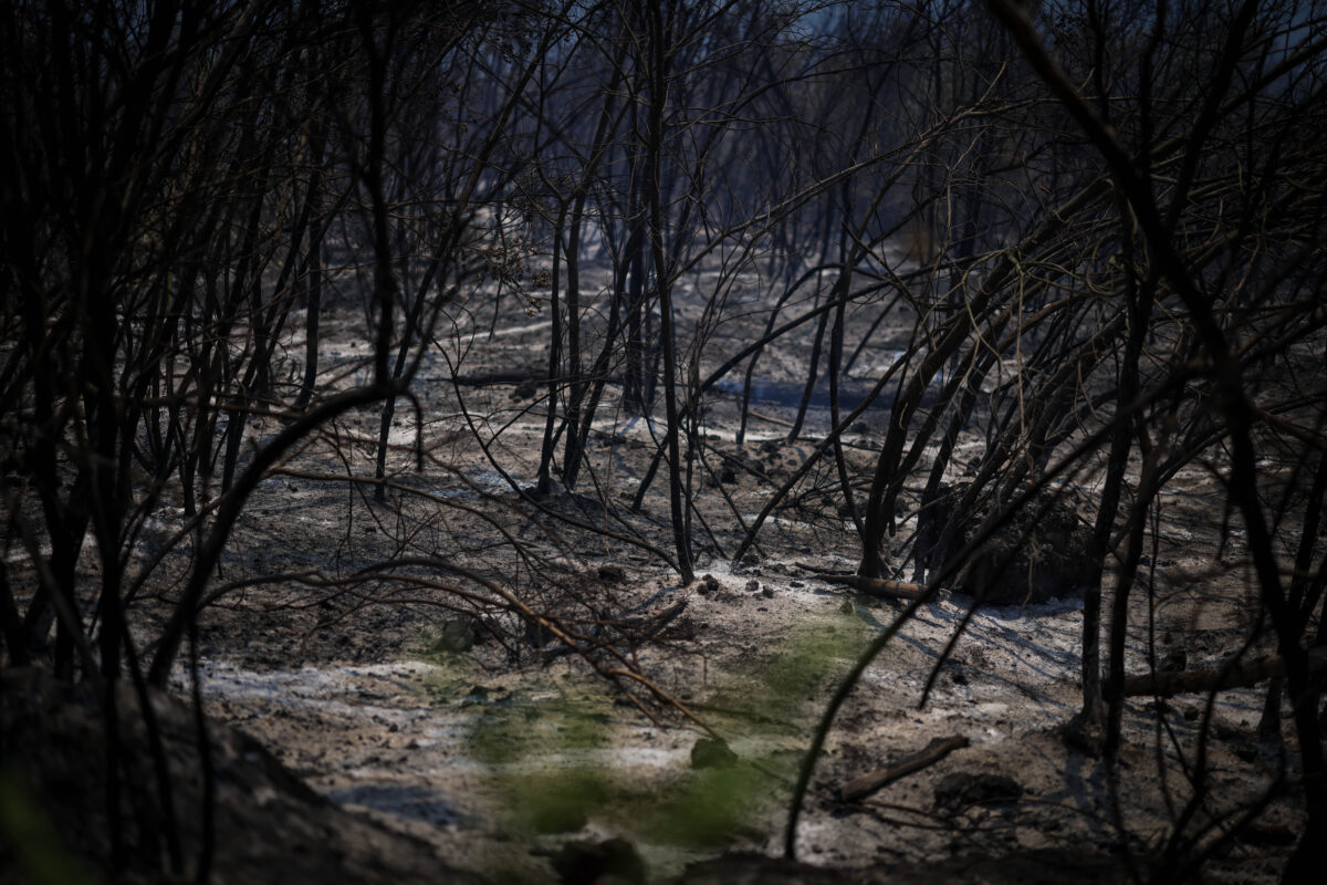 Incendio Vesuvio, i danni al Parco Nazionale FOTO