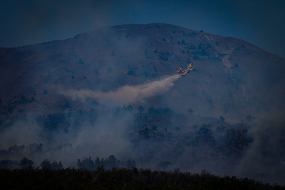Incendio Vesuvio, i danni al Parco Nazionale FOTO